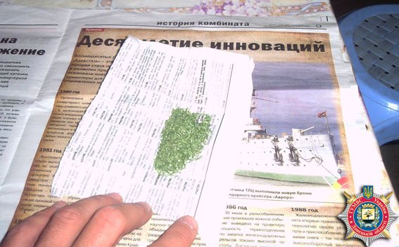 В районе Мариуполя молодой человек хранил коноплю (ФОТО) (фото) - фото 1 В районе Мариуполя молодой человек хранил коноплю (ФОТО) (фото) - фото 1