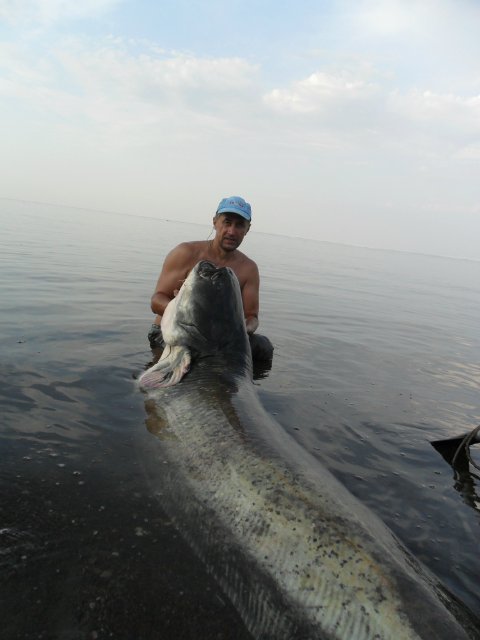 Ухой весь город накормит: ульяновец поймал сома весом 108 кг (фото) - фото 1