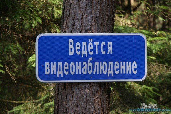 Под Гродно дачники массово устанавливают видеокамеры в скворечниках (фото) - фото 2 Под Гродно дачники массово устанавливают видеокамеры в скворечниках (фото) - фото 2