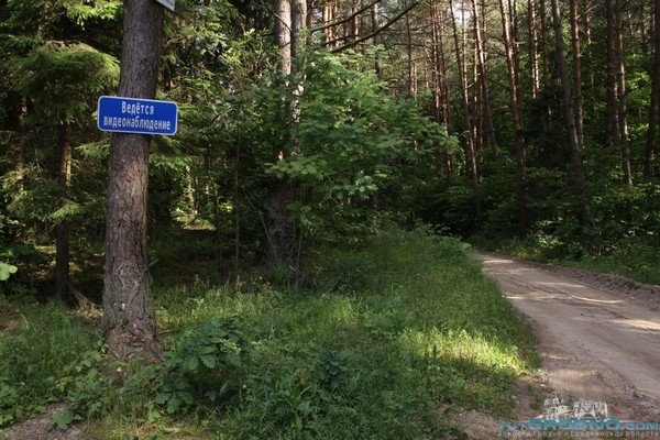 Под Гродно дачники массово устанавливают видеокамеры в скворечниках (фото) - фото 1 Под Гродно дачники массово устанавливают видеокамеры в скворечниках (фото) - фото 1