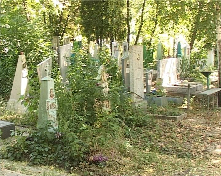 Армавицы должны навести порядок на кладбище (фото) - фото 1 Армавицы должны навести порядок на кладбище (фото) - фото 1