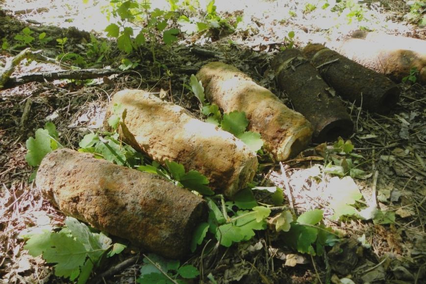 Под Черниговом «черные археологи» нашли артснаряды (фото) - фото 1 Под Черниговом «черные археологи» нашли артснаряды (фото) - фото 1