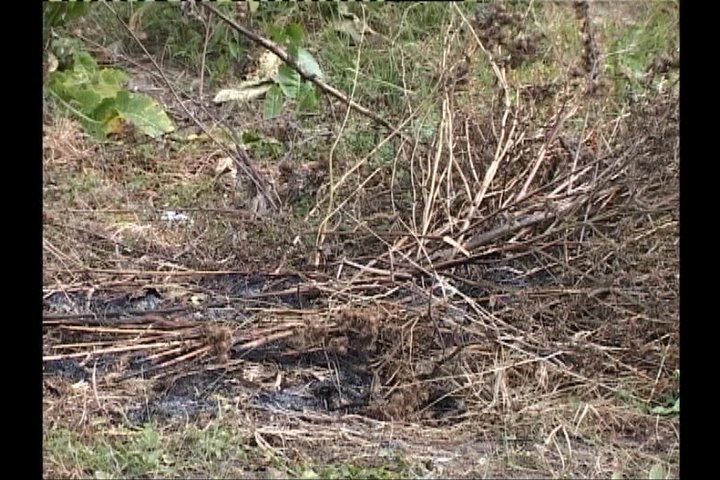 Пожароопасность 2 Пожароопасность 2