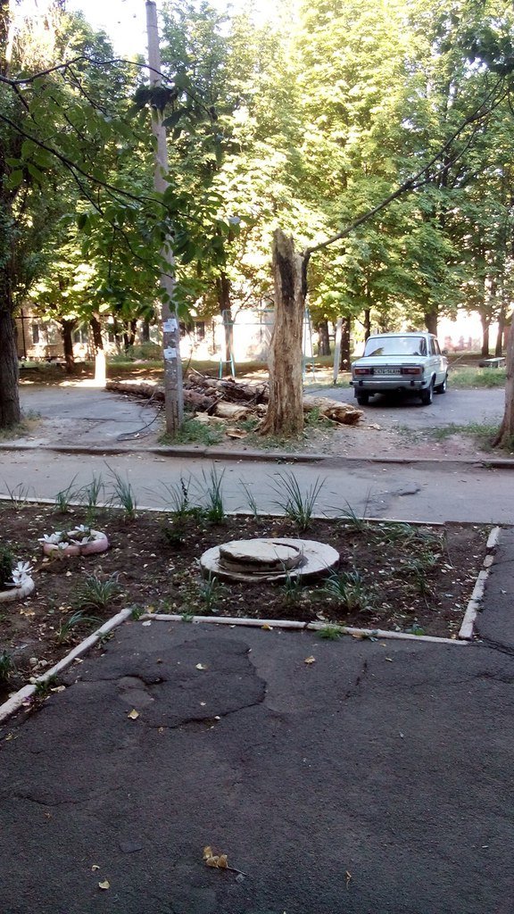 В Кривом Роге сухое дерево оборвало электролинию и упало на детскую площадку (фото) - фото 1 В Кривом Роге сухое дерево оборвало электролинию и упало на детскую площадку (фото) - фото 1