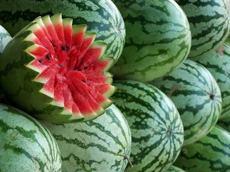 watermelon04 (2) watermelon04 (2)