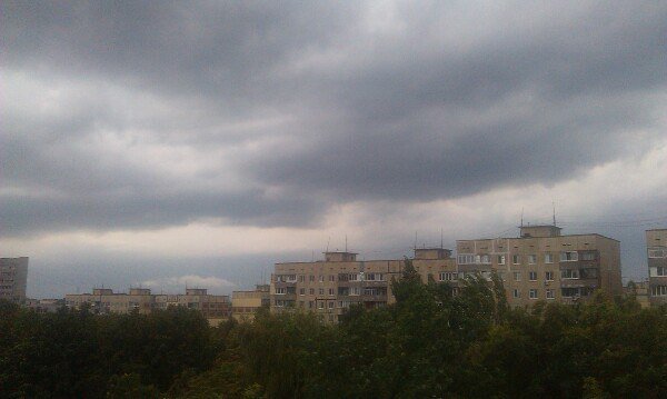 ТОПОЛЬ ТОПОЛЬ