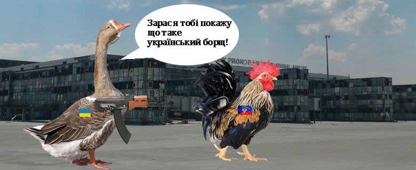 После жестокого уничтожения тушек трех венгерских гусей в России сеть взорвали «Гусиные истории» (ВИДЕО) (фото) - фото 4 После жестокого уничтожения тушек трех венгерских гусей в России сеть взорвали «Гусиные истории» (ВИДЕО) (фото) - фото 4