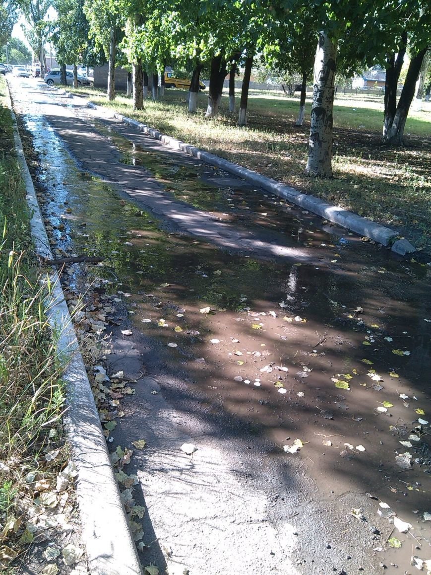 После наполнения водоводов продолжают заполняться водой и улицы Димитрова (фото) - фото 1 После наполнения водоводов продолжают заполняться водой и улицы Димитрова (фото) - фото 1
