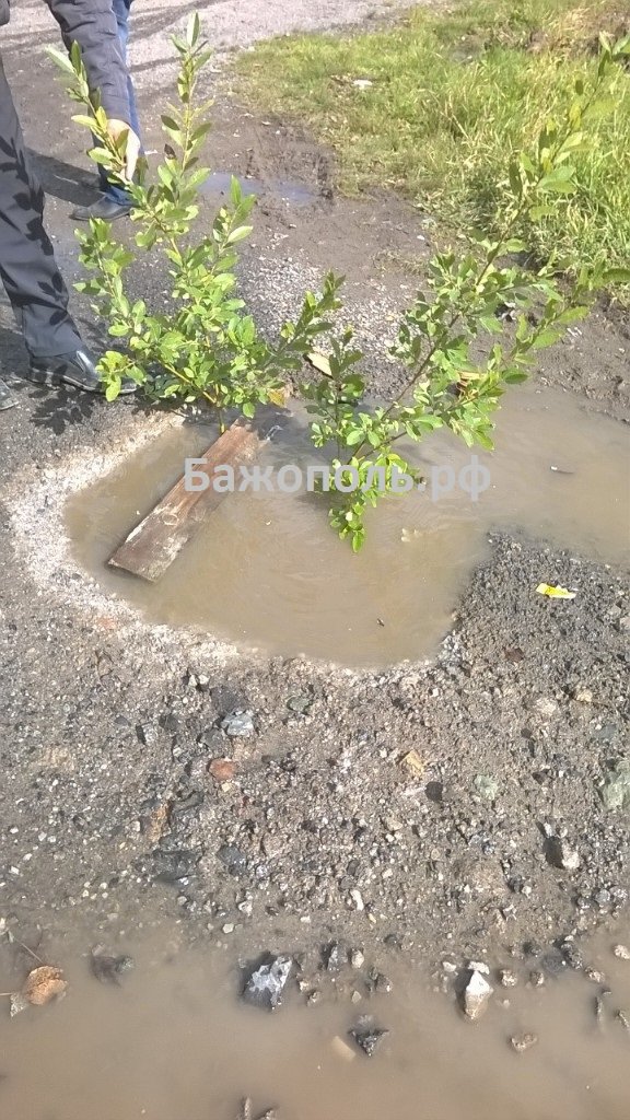 В южной части Полевского девочка провалилась в яму с водой (фото) - фото 2 В южной части Полевского девочка провалилась в яму с водой (фото) - фото 2