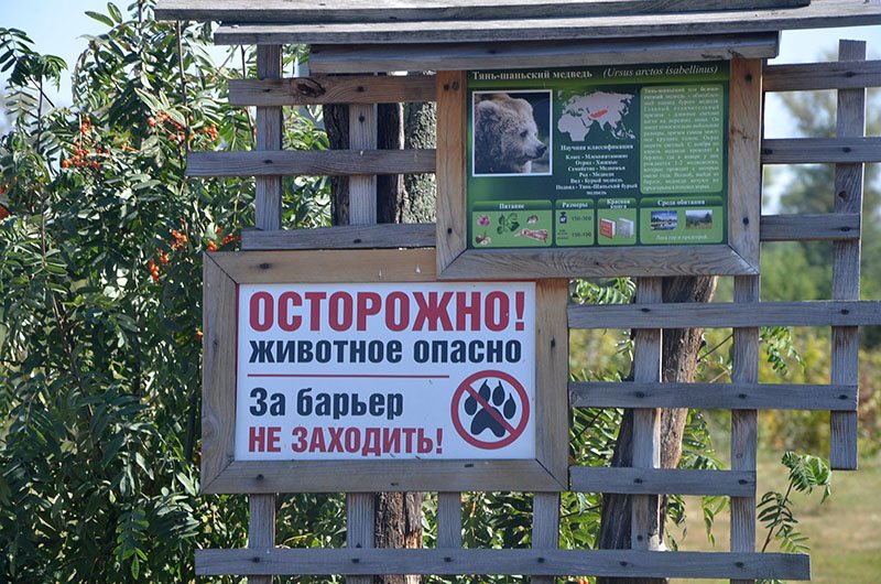 Носорогие. В Старооскольском зоопарке селятся исчезающие виды живот... Носорогие. В Старооскольском зоопарке селятся исчезающие виды животных (фото) - фото 2