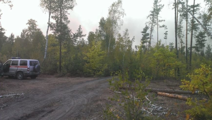 Лесной пожар под Киевом тушат с помощью авиации (ФОТО, ВИДЕО) (фото) - фото 3 Лесной пожар под Киевом тушат с помощью авиации (ФОТО, ВИДЕО) (фото) - фото 3