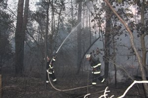 В Дарницком лесхозе горит 15 га леса, - ГСЧС (ФОТО, ВИДЕО) (фото) - фото 1 В Дарницком лесхозе горит 15 га леса, - ГСЧС (ФОТО, ВИДЕО) (фото) - фото 1