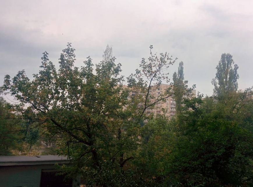 левобережка левобережка