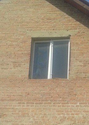 Сотні людей з'їжджаються у с. Берегове, аби подивитися на Богоявлення образу Божої Матері (ФОТО+ВІДЕО) (фото) - фото 1 Сотні людей з'їжджаються у с. Берегове, аби подивитися на Богоявлення образу Божої Матері (ФОТО+ВІДЕО) (фото) - фото 1