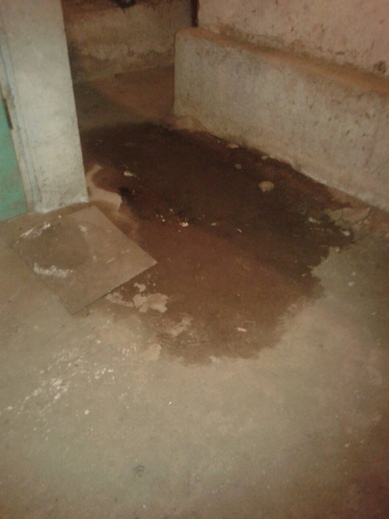 Тернополяни обурюються через бездіяльність ЖЕКу (фото) (фото) - фото 1 Тернополяни обурюються через бездіяльність ЖЕКу (фото) (фото) - фото 1