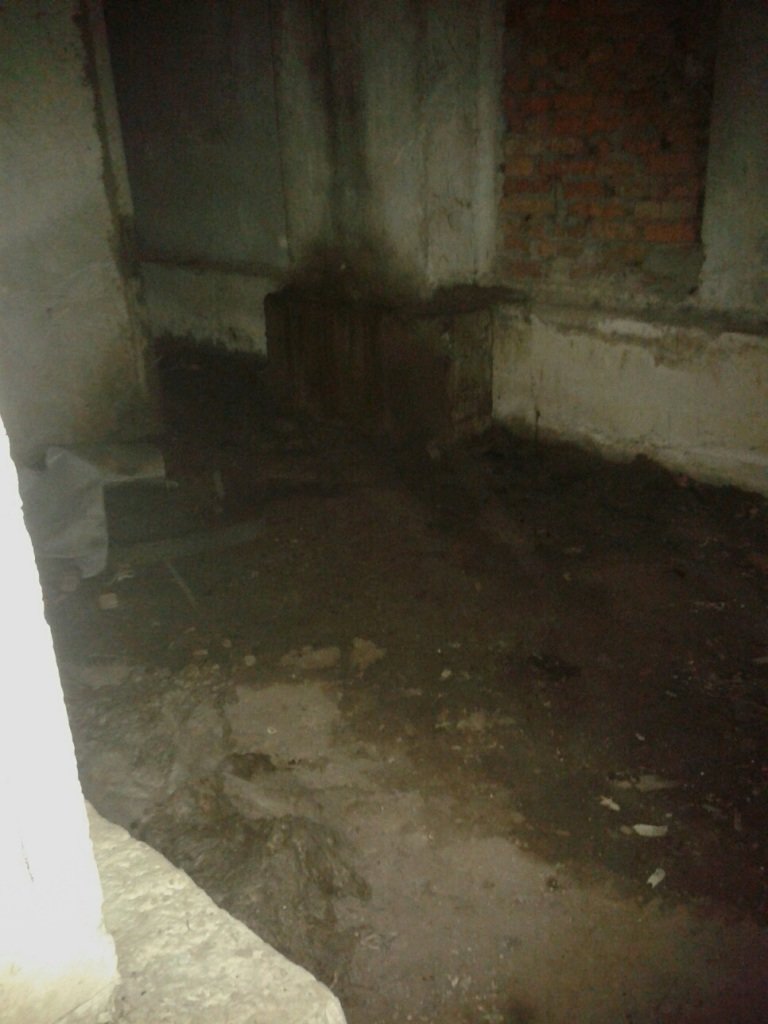 Тернополяни обурюються через бездіяльність ЖЕКу (фото) (фото) - фото 1 Тернополяни обурюються через бездіяльність ЖЕКу (фото) (фото) - фото 1