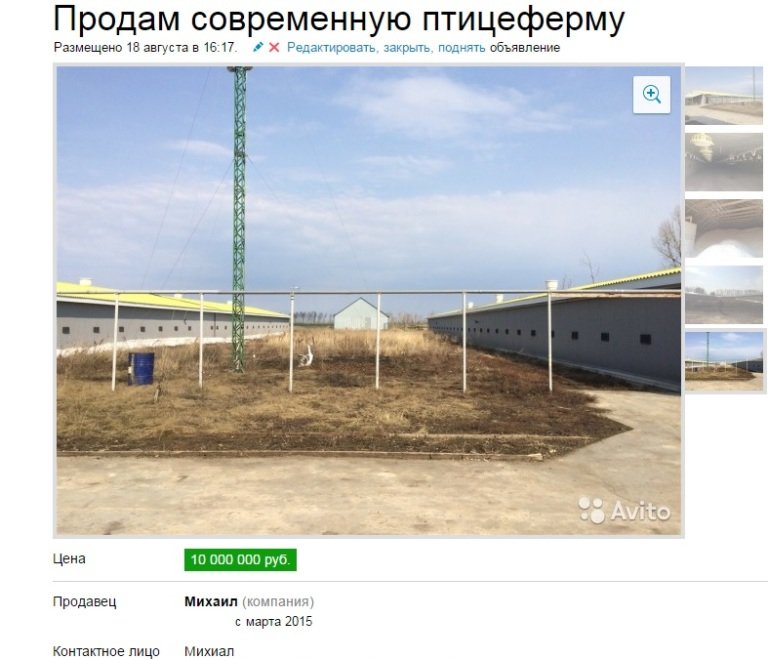 Ульяновская «Цыпочка» продается (фото) - фото 1