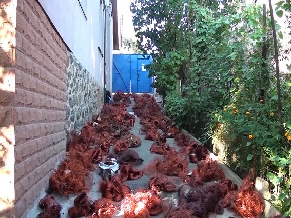 В Соломенском районе милиция задержала серийного вора лифтовых катушек (ВИДЕО) (фото) - фото 2 В Соломенском районе милиция задержала серийного вора лифтовых катушек (ВИДЕО) (фото) - фото 2