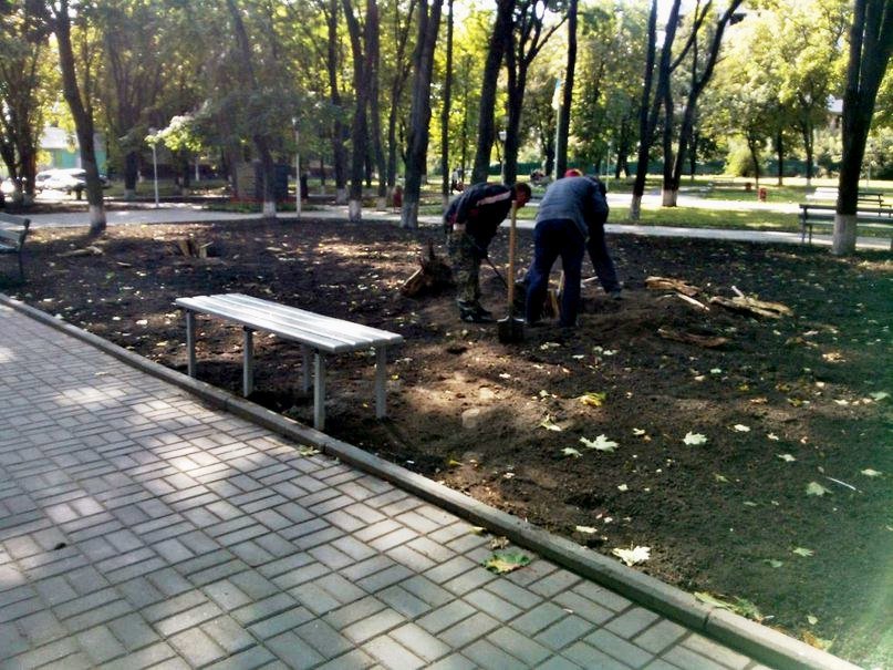 В Сумах осужденные благоустроили сквер «СКД» (ФОТО) (фото) - фото 1 В Сумах осужденные благоустроили сквер «СКД» (ФОТО) (фото) - фото 1