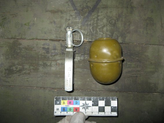 На Кировоградщине у водителя автомобиля изъято почти 80 патронов и ручную гранату. ФОТО (фото) - фото 1 На Кировоградщине у водителя автомобиля изъято почти 80 патронов и ручную гранату. ФОТО (фото) - фото 1
