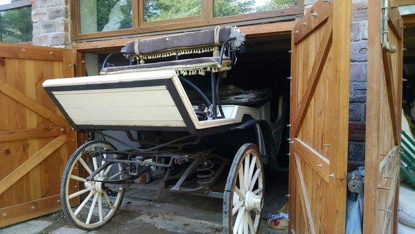 Каретний бізнес у Львові: в яких умовах утримують коней (ФОТО+ВІДЕО) (фото) - фото 5 Каретний бізнес у Львові: в яких умовах утримують коней (ФОТО+ВІДЕО) (фото) - фото 5