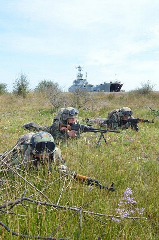 «Си Бриз - 2015» перешел в активную «морскую» фазу под Николаевом (ФОТОРЕПОРТАЖ) (фото) - фото 8 «Си Бриз - 2015» перешел в активную «морскую» фазу под Николаевом (ФОТОРЕПОРТАЖ) (фото) - фото 8