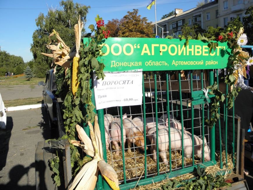 В Краматорске открылась сельскохозяйственная ярмарка «Краматорская осень» (фото) - фото 5 В Краматорске открылась сельскохозяйственная ярмарка «Краматорская осень» (фото) - фото 5