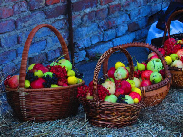 В павильоне «Верхние теплицы» провели праздник «Яблочный полдень» (фото) - фото 5