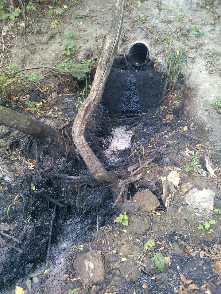 На Тернопільщині через викид у водойми небезпечних отрутохімікатів масово гине риба (фото) (фото) - фото 1 На Тернопільщині через викид у водойми небезпечних отрутохімікатів масово гине риба (фото) (фото) - фото 1