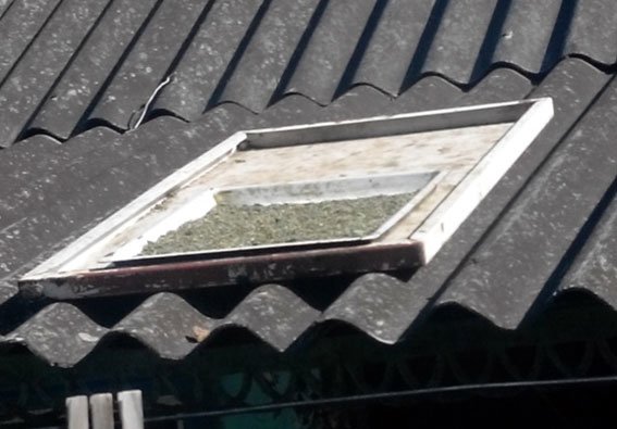 На Полтавщині 77-річний чоловік зберігав близько двох кілограмів наркотиків (фото) - фото 1 На Полтавщині 77-річний чоловік зберігав близько двох кілограмів наркотиків (фото) - фото 1