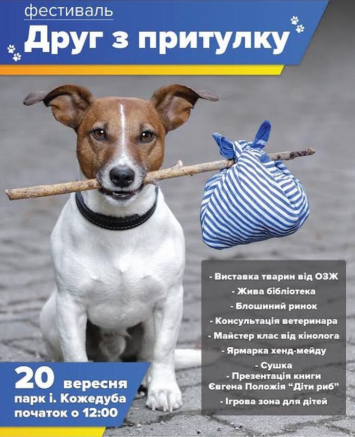 В Сумах впервые состоится выставка собак из приюта (фото) - фото 1 В Сумах впервые состоится выставка собак из приюта (фото) - фото 1
