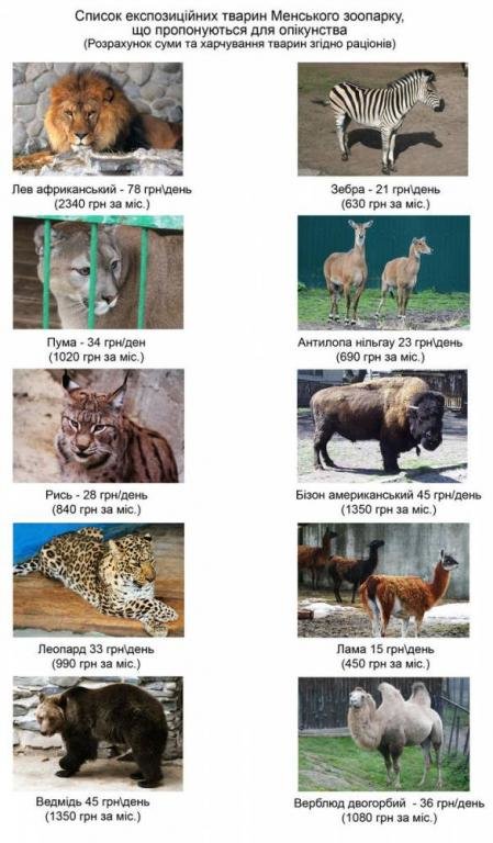 Единственный в Черниговской области зоопарк ищет для животных «шефов» (фото) - фото 1 Единственный в Черниговской области зоопарк ищет для животных «шефов» (фото) - фото 1