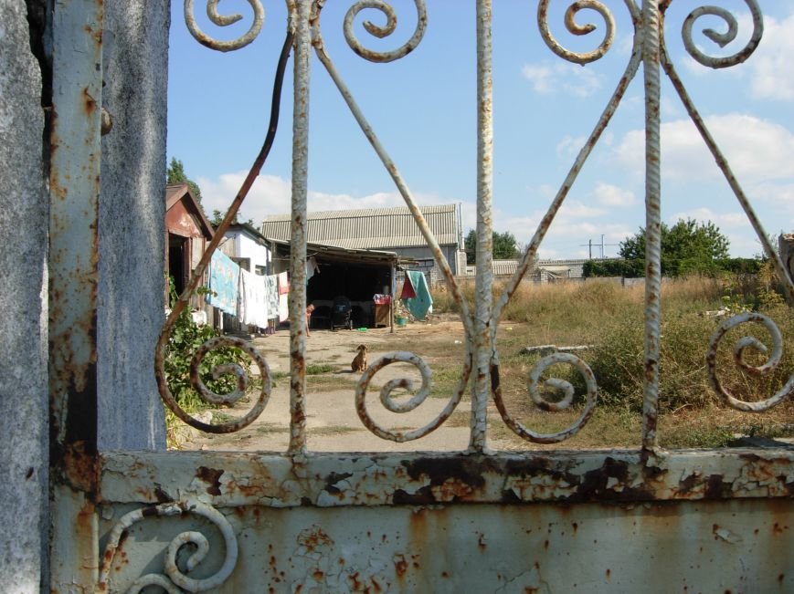 Семьи «неблагополучных» николаевцев содержат детей в антисанитарии (ФОТО) (фото) - фото 1 Семьи «неблагополучных» николаевцев содержат детей в антисанитарии (ФОТО) (фото) - фото 1