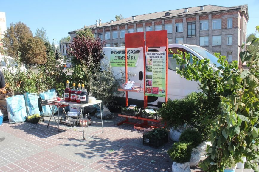 В Днепродзержинске открылась ярмарка «Золотая осень» (фото) - фото 12 В Днепродзержинске открылась ярмарка «Золотая осень» (фото) - фото 12