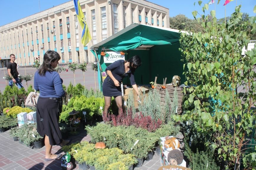 В Днепродзержинске открылась ярмарка «Золотая осень» (фото) - фото 9 В Днепродзержинске открылась ярмарка «Золотая осень» (фото) - фото 9