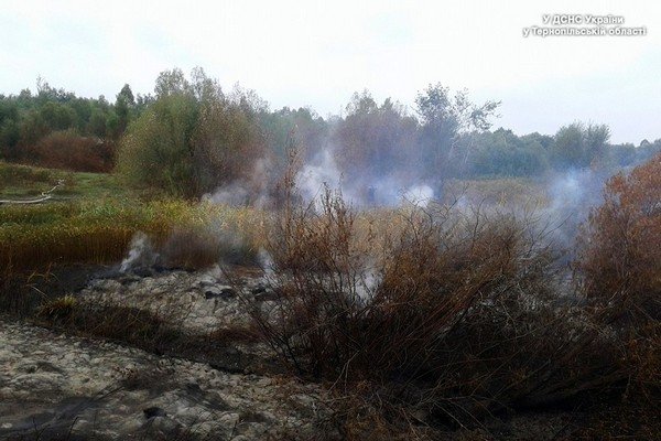 На Тернопільщині рятувальники гасять пожежу на торфополі (фото) (фото) - фото 1 На Тернопільщині рятувальники гасять пожежу на торфополі (фото) (фото) - фото 1