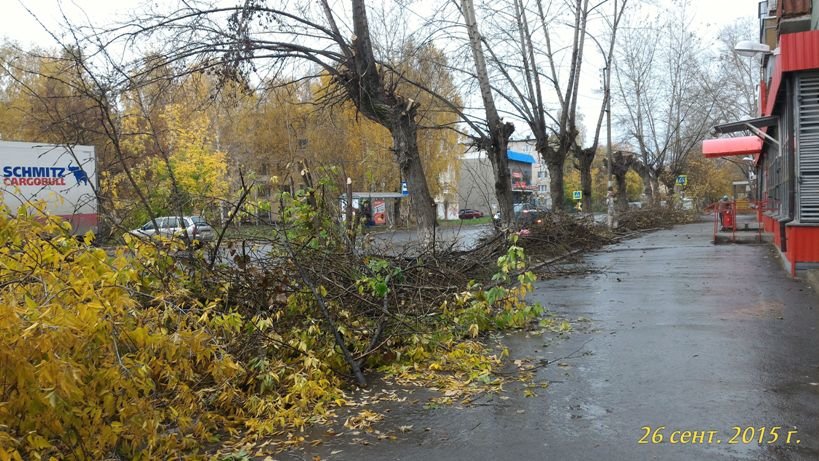 Полевской фотофактом (фото) - фото 2 Полевской фотофактом (фото) - фото 2