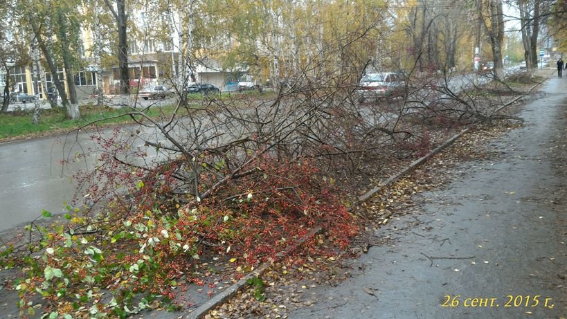 Полевской фотофактом (фото) - фото 2 Полевской фотофактом (фото) - фото 2