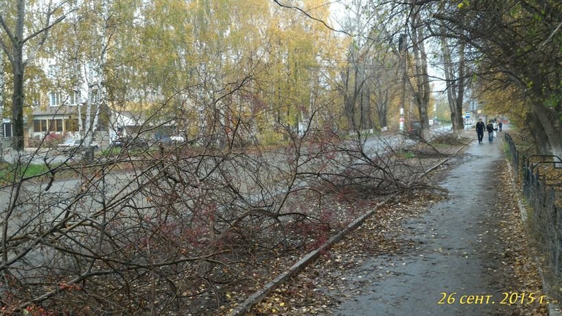 Полевской фотофактом (фото) - фото 2 Полевской фотофактом (фото) - фото 2