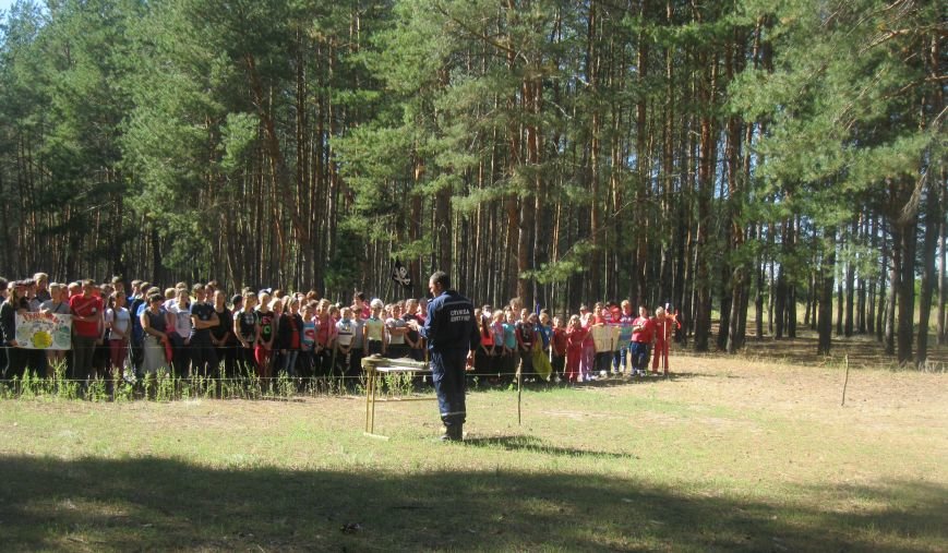 зарница6 зарница6