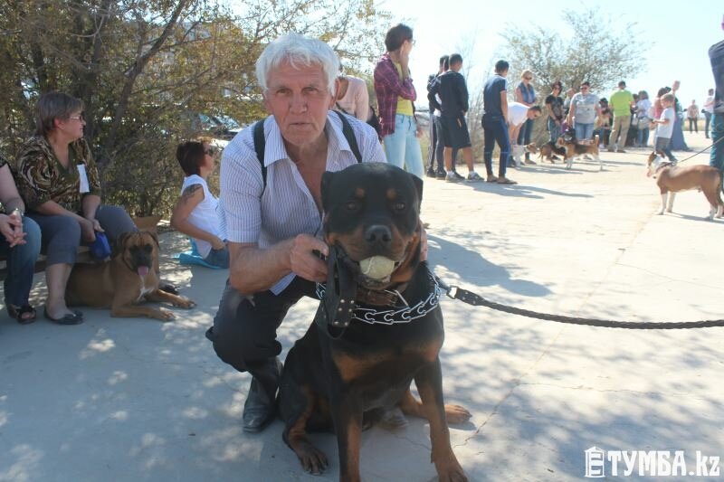 Выставка собак прошла в Актау (фото) (фото) - фото 2