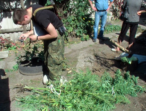 славянск наркотики 1 славянск наркотики 1