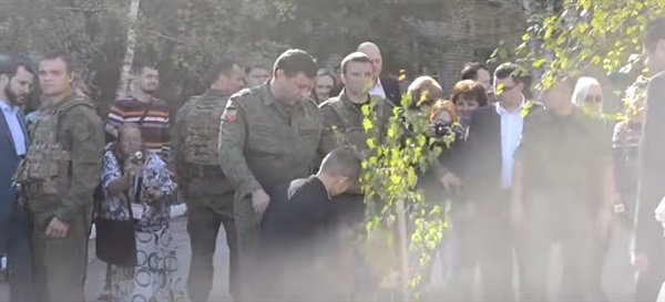 дерево3 дерево3