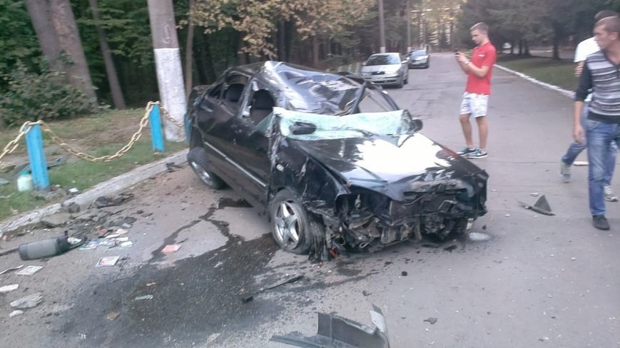 Сьогодні біля Вінниці жінка збила лося (фото+відео) (фото) - фото 5 Сьогодні біля Вінниці жінка збила лося (фото+відео) (фото) - фото 5