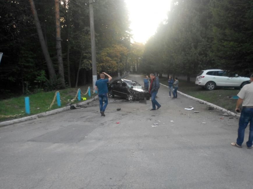 Сьогодні біля Вінниці жінка збила лося (фото+відео) (фото) - фото 6 Сьогодні біля Вінниці жінка збила лося (фото+відео) (фото) - фото 6