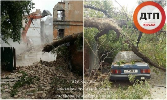 В Киеве экскаватор уронил дерево на автомобиль (ФОТО) (фото) - фото 1 В Киеве экскаватор уронил дерево на автомобиль (ФОТО) (фото) - фото 1