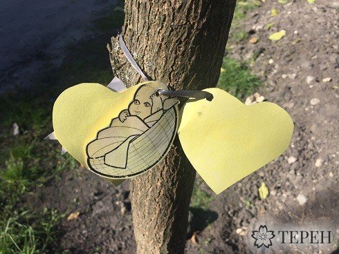 В тернопільському парку ростуть дерева на честь немовлят, врятованих від аборту (фото) (фото) - фото 1 В тернопільському парку ростуть дерева на честь немовлят, врятованих від аборту (фото) (фото) - фото 1