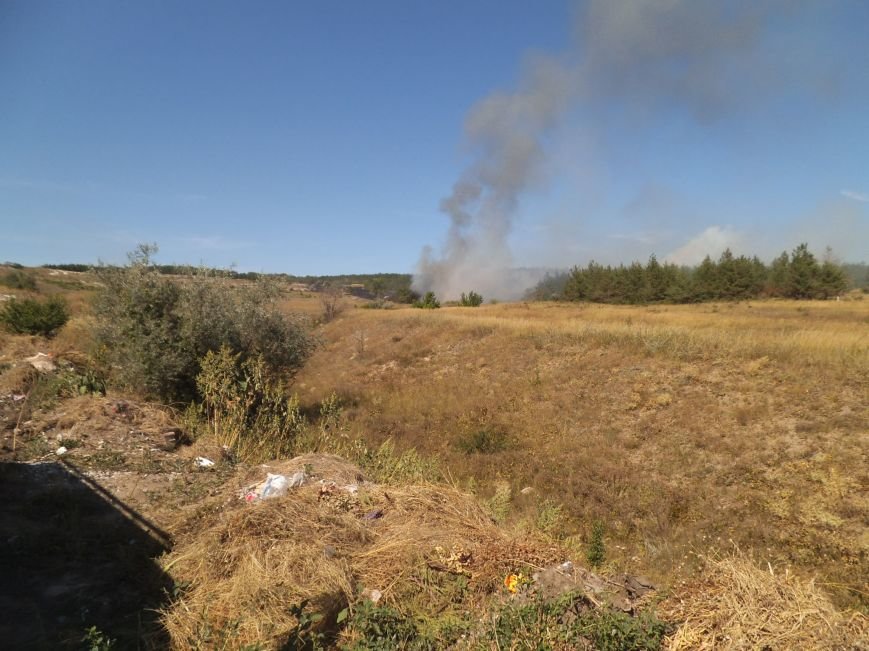 В Краматорском ландшафтном парке пожар уничтожил 9 га травы (фото) - фото 1 В Краматорском ландшафтном парке пожар уничтожил 9 га травы (фото) - фото 1