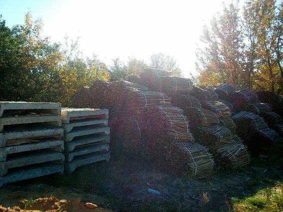 Незаконная пилорама в Черниговской области нанесла убытков на сотни тысяч гривен (фото) - фото 1 Незаконная пилорама в Черниговской области нанесла убытков на сотни тысяч гривен (фото) - фото 1