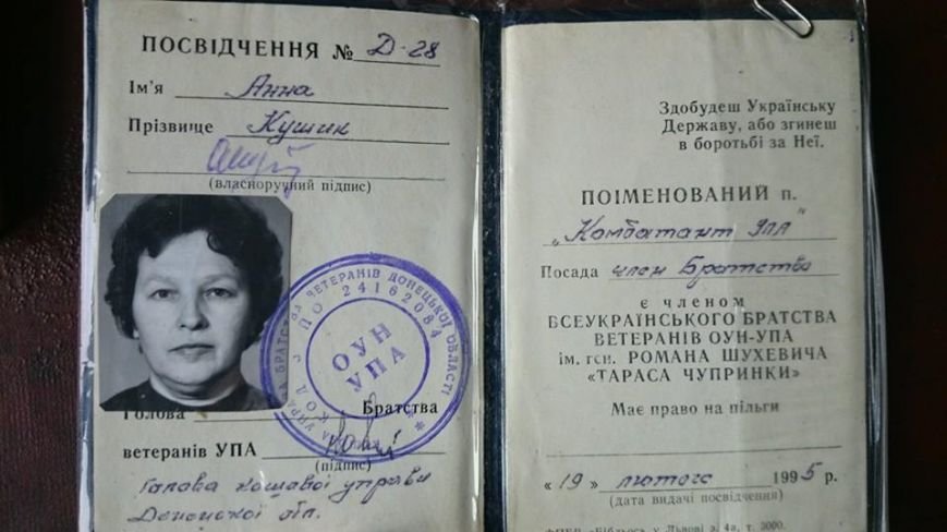 кушик кушик
